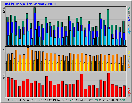 Daily usage for January 2010