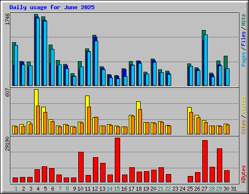 Daily usage for June 2025