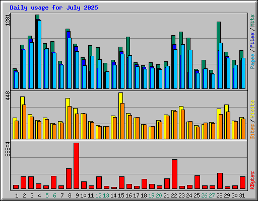 Daily usage for July 2025