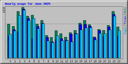 Hourly usage for June 2025