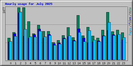Hourly usage for July 2025