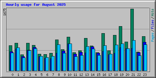 Hourly usage for August 2025
