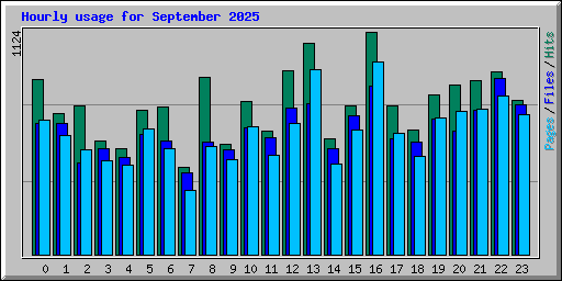 Hourly usage for September 2025