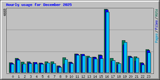 Hourly usage for December 2025