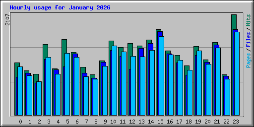 Hourly usage for January 2026
