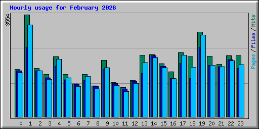 Hourly usage for February 2026