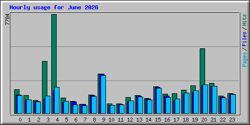 Hourly usage for June 2026